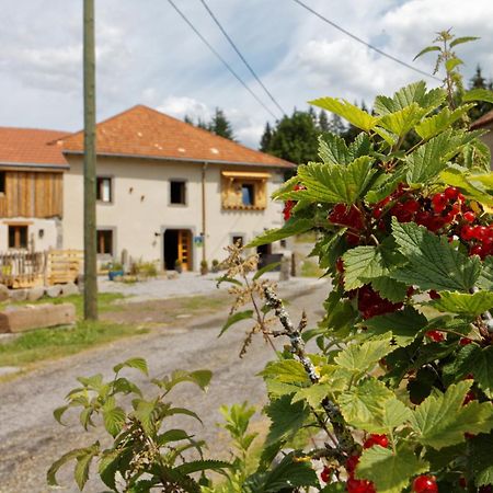 La Ferme De Jean Entre Lacs Et Montagnes Saulxures-sur-Moselotte 外观 照片