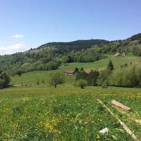La Ferme De Jean Entre Lacs Et Montagnes Saulxures-sur-Moselotte 外观 照片