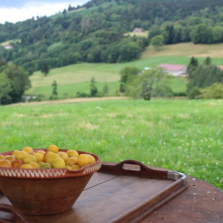 La Ferme De Jean Entre Lacs Et Montagnes Saulxures-sur-Moselotte 外观 照片