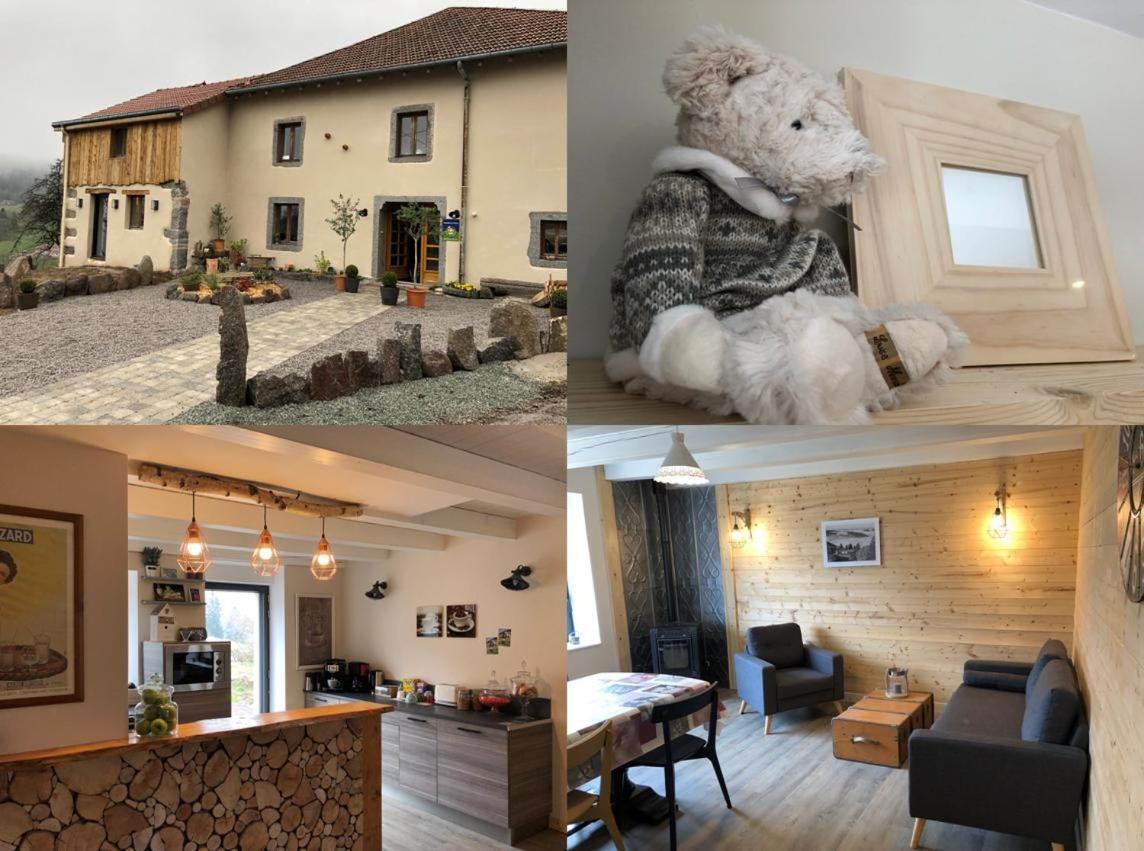 La Ferme De Jean Entre Lacs Et Montagnes Saulxures-sur-Moselotte 外观 照片
