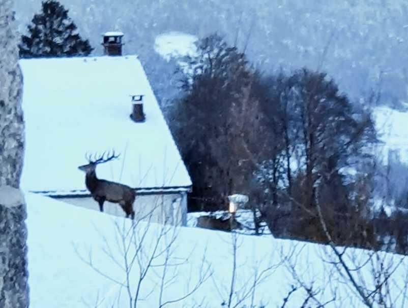 La Ferme De Jean Entre Lacs Et Montagnes Saulxures-sur-Moselotte 外观 照片