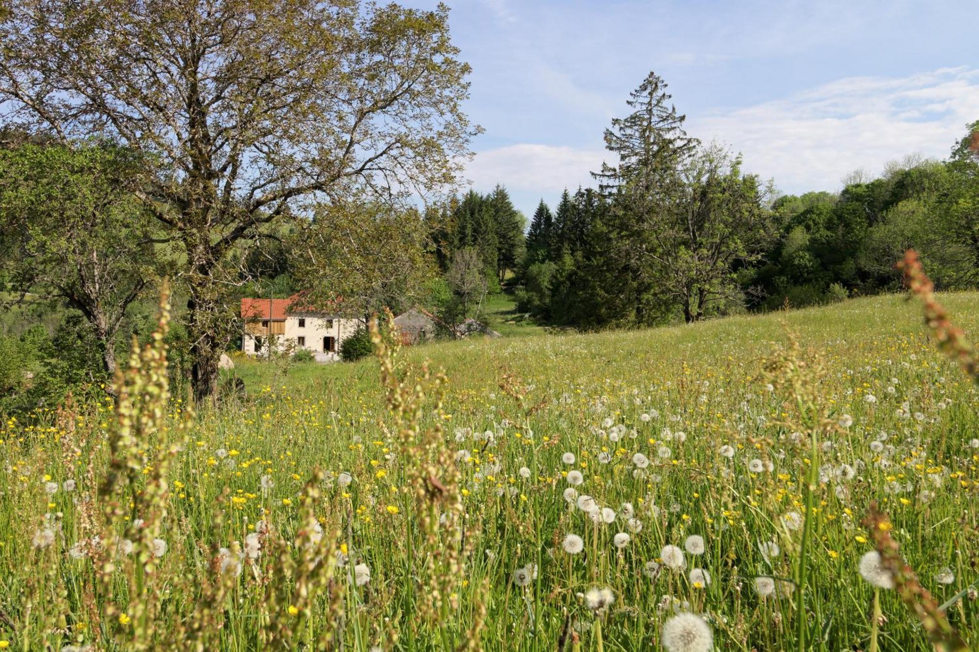 La Ferme De Jean Entre Lacs Et Montagnes Saulxures-sur-Moselotte 外观 照片