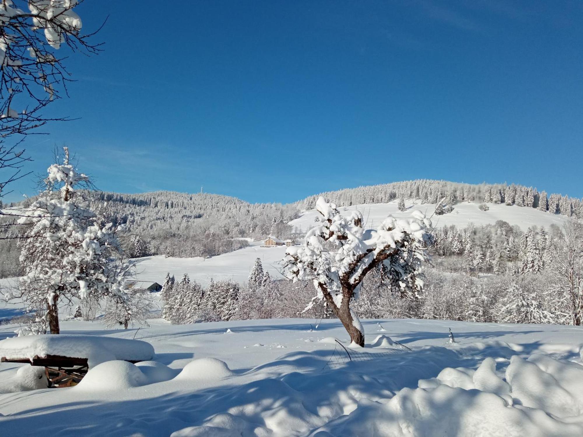 La Ferme De Jean Entre Lacs Et Montagnes Saulxures-sur-Moselotte 外观 照片