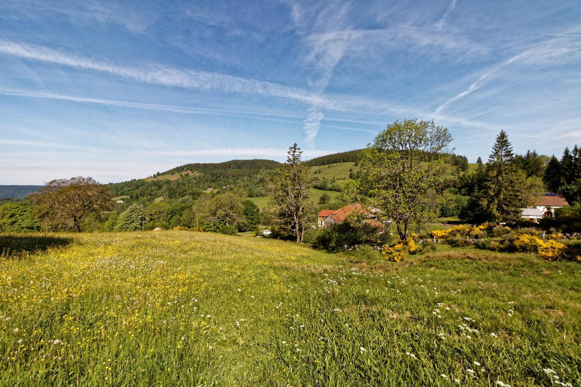 La Ferme De Jean Entre Lacs Et Montagnes Saulxures-sur-Moselotte 外观 照片