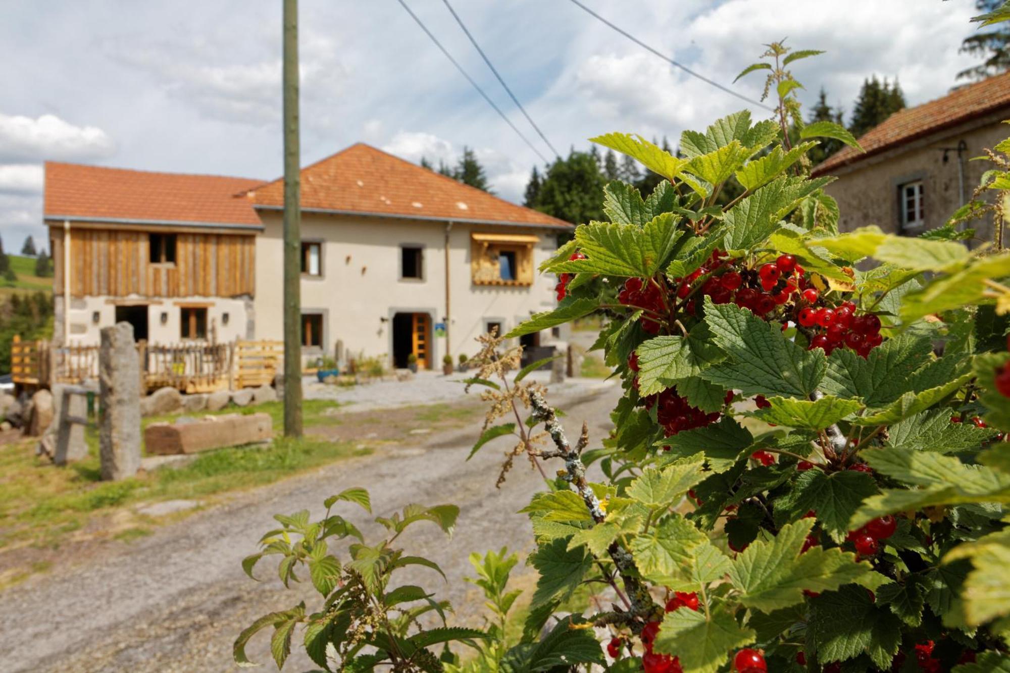 La Ferme De Jean Entre Lacs Et Montagnes Saulxures-sur-Moselotte 外观 照片