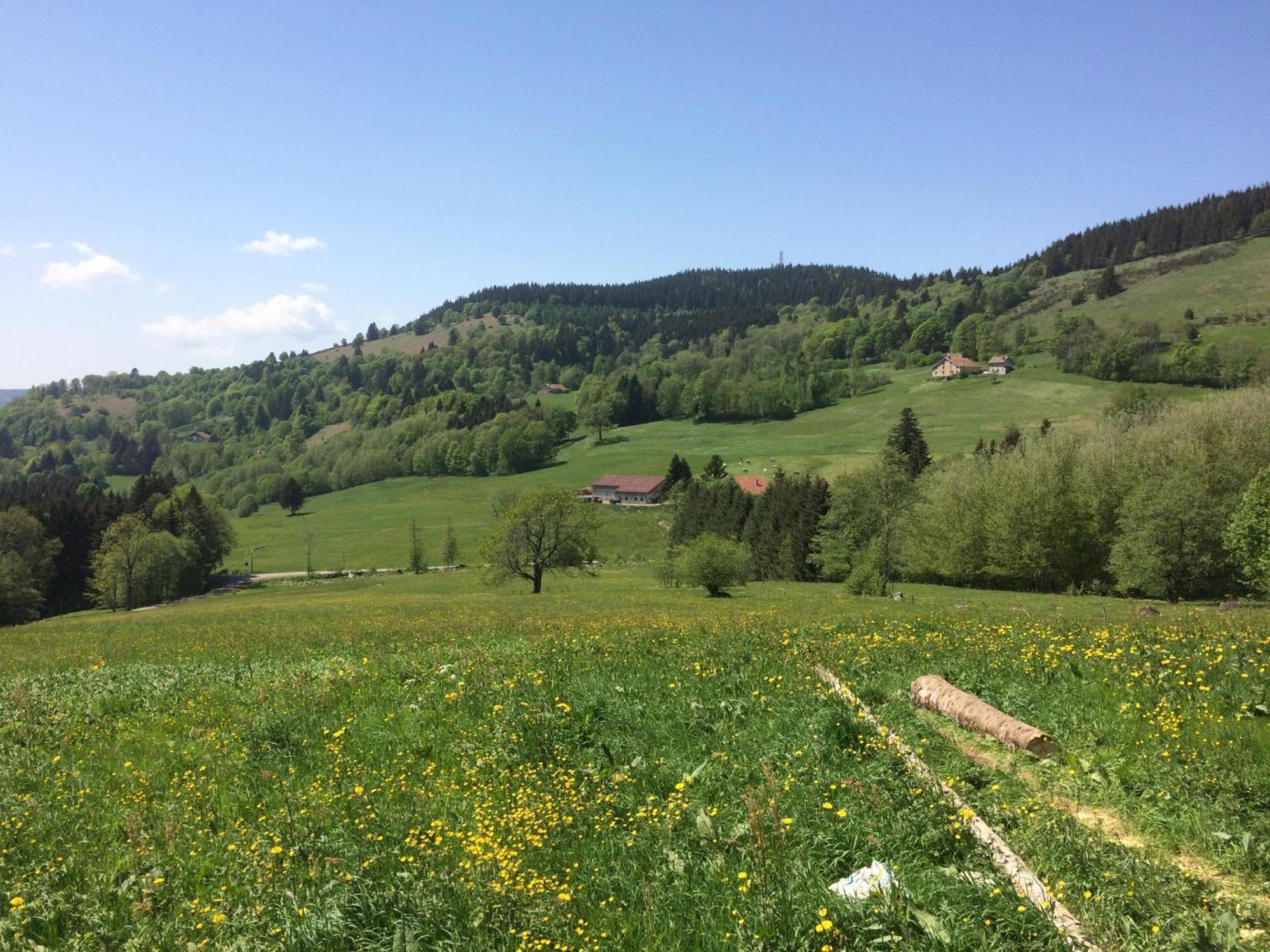 La Ferme De Jean Entre Lacs Et Montagnes Saulxures-sur-Moselotte 外观 照片