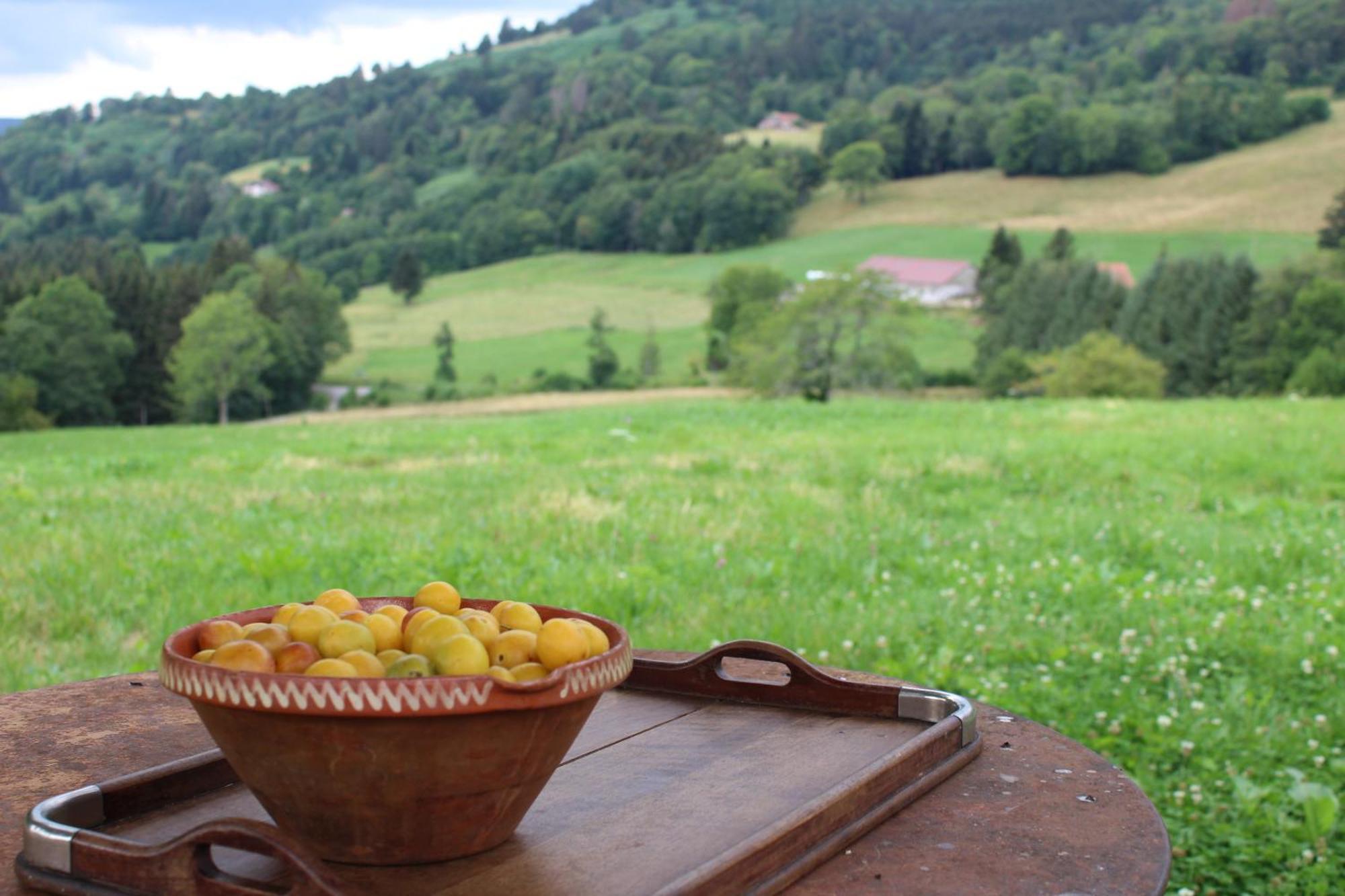 La Ferme De Jean Entre Lacs Et Montagnes Saulxures-sur-Moselotte 外观 照片